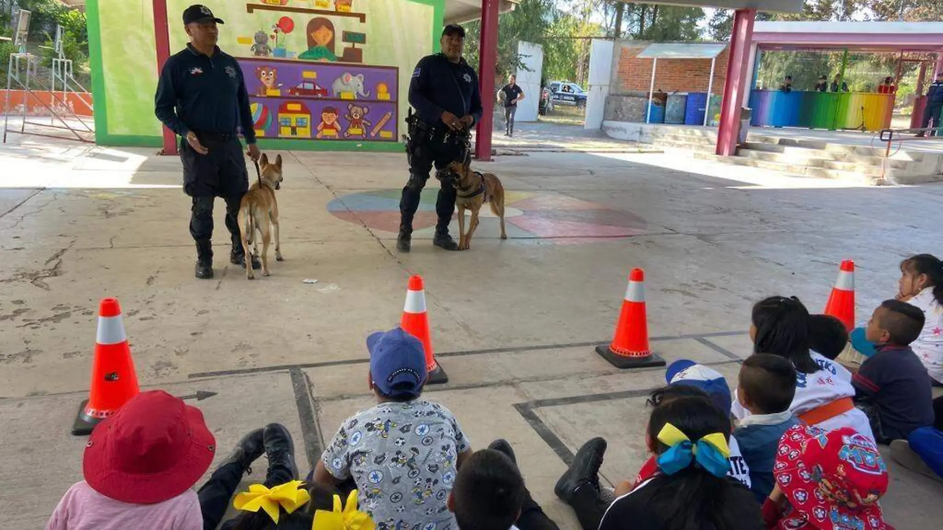 capacitación canina